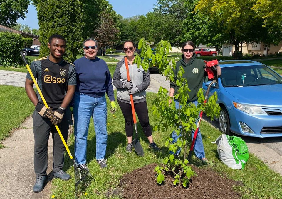 Volunteers planting a tree in an Ames neighborhood.